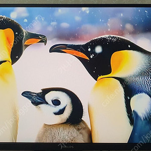 필립스 모니터 27m1n5500zr qhd 나노ips 180hz