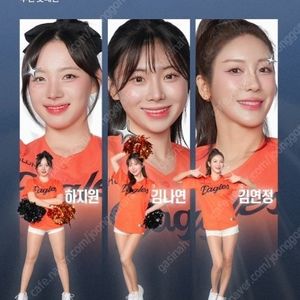 9월 9일,10일 사직구장 롯데vs한화 (3루원정좌석)