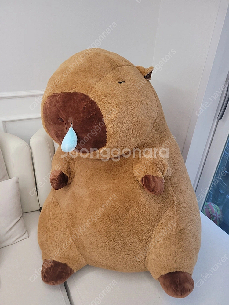 카피바라 대형 인형 90cm--0