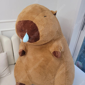 카피바라 대형 인형 90cm
