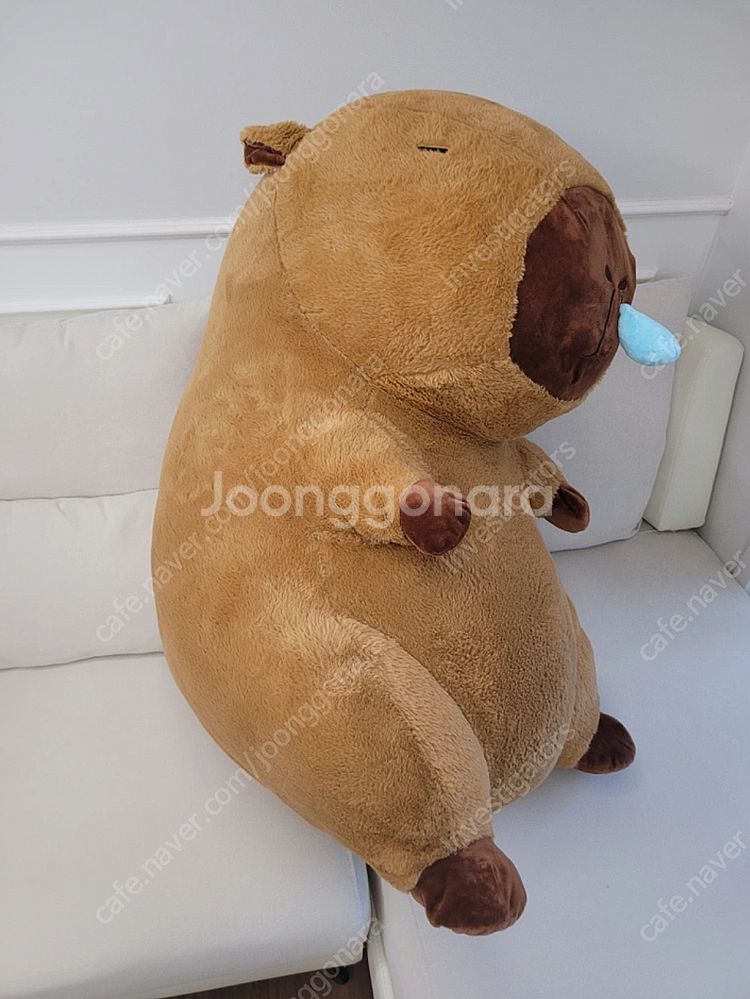 카피바라 대형 인형 90cm--1