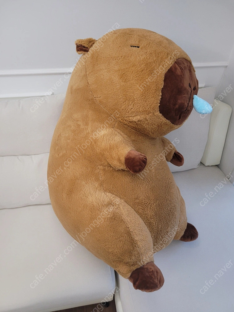 카피바라 대형 인형 90cm 이미지