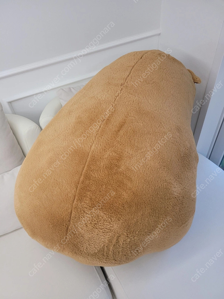카피바라 대형 인형 90cm 이미지