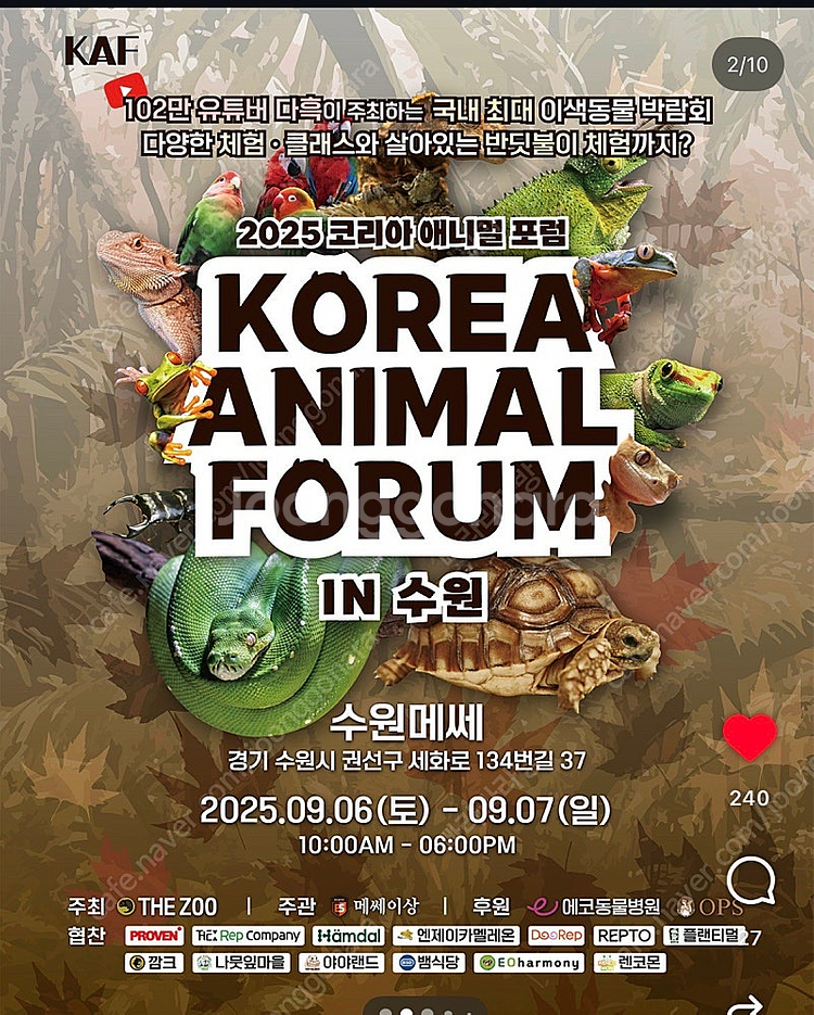 수원메쎄 25.9.6~9.7--0