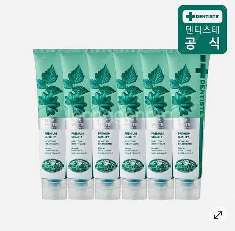 덴티스테 뉴플러스화이트 치약 160g 6개 무료배송--0
