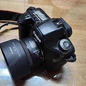 캐논5d + 신쩜팔