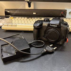 파나소닉 루믹스 gh5 마이크로포서드 카메라 판매