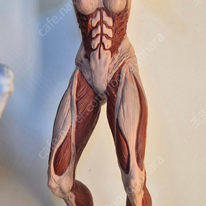 진격의거인 제일복권. Msp 판매합니다.