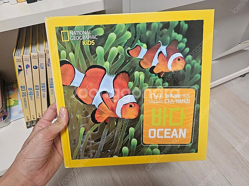 블루래빗 키즈 디스커버리 자연관찰 전집--0