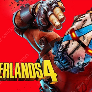 보더랜드4 스팀 코드 (대리 가능)