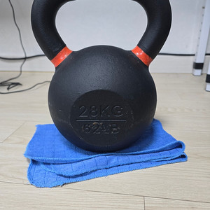 바디엑스 케틀벨 28KG 판매