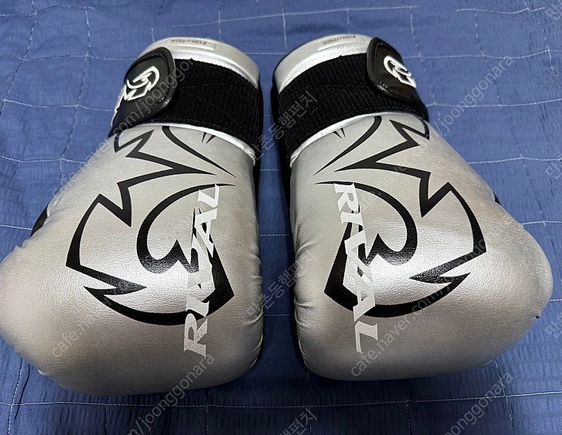 라이벌 rs11v 실버 16oz--0