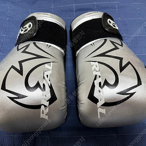 라이벌 rs11v 실버 16oz