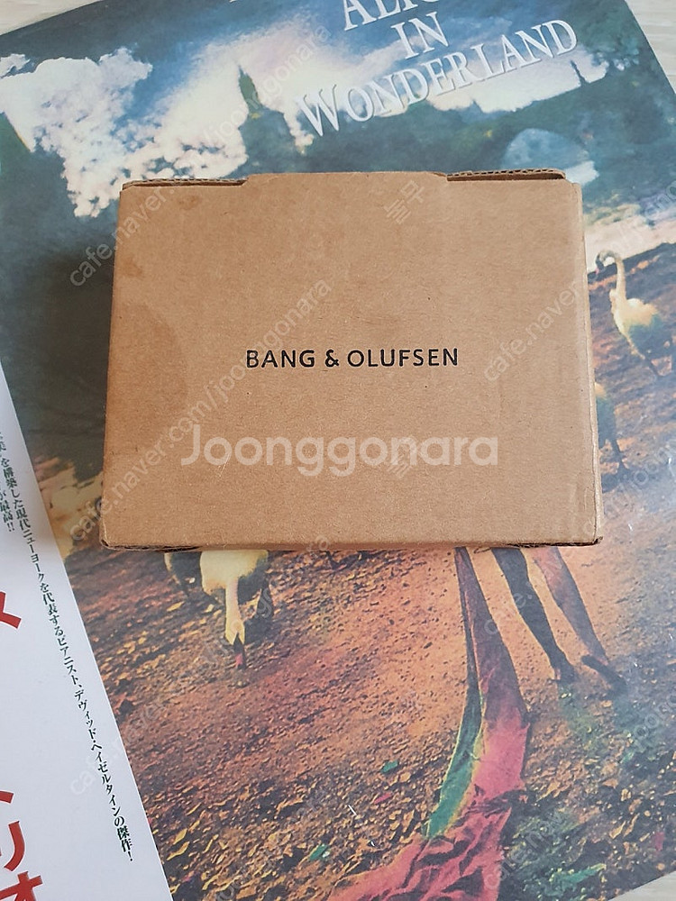 구형 뱅앤올룹슨 B&O A8 블랙 이어폰 팝니다.--3