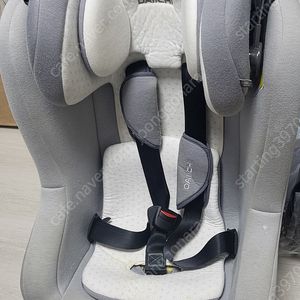 다이치카시트 싸게팝니다