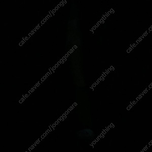 아웃백 빕스 15퍼 할인 판매합니다
