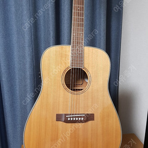 Zamar Worshiper D (자마 탑솔리드 기타) 가방, 거치대 포함