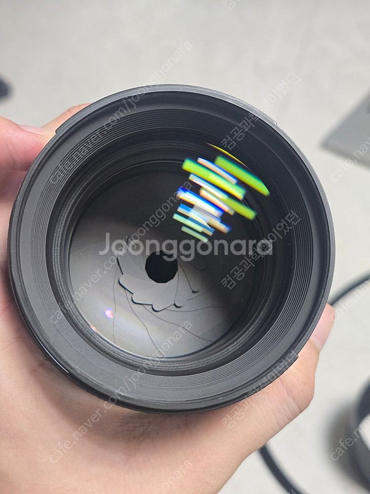 시그마 85mm f1.4 dg dn 소니--1