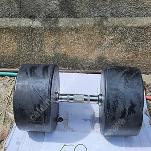 덤벨 50kg 판매