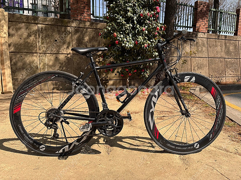 자이덴 하이브리드--0