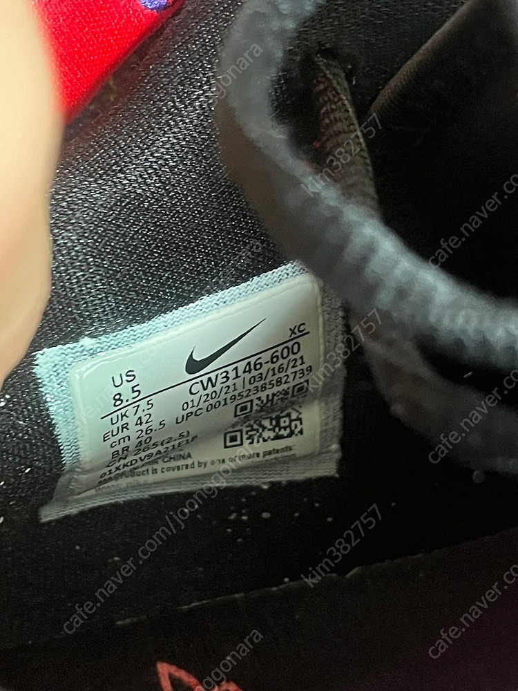 폴조지 5 농구화 cw3146-600 265 이미지