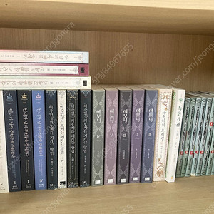 로판 소설 정리