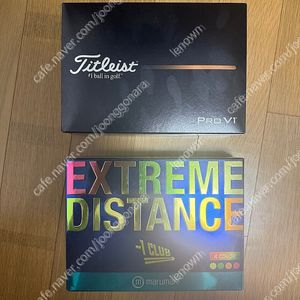 골프공 정리합니다. 타이틀리스트 V1 2더즌 , 마루망