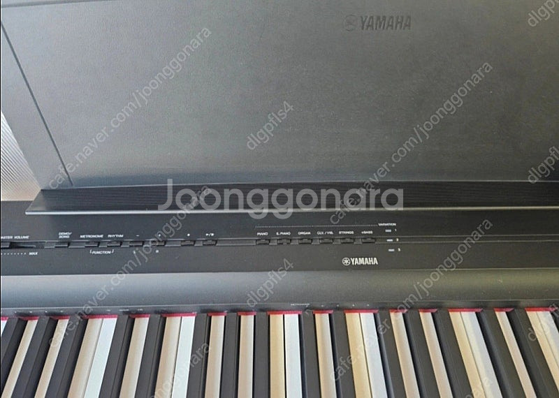 P125 야마하 디지털피아노 P-125 우드스탠드--1