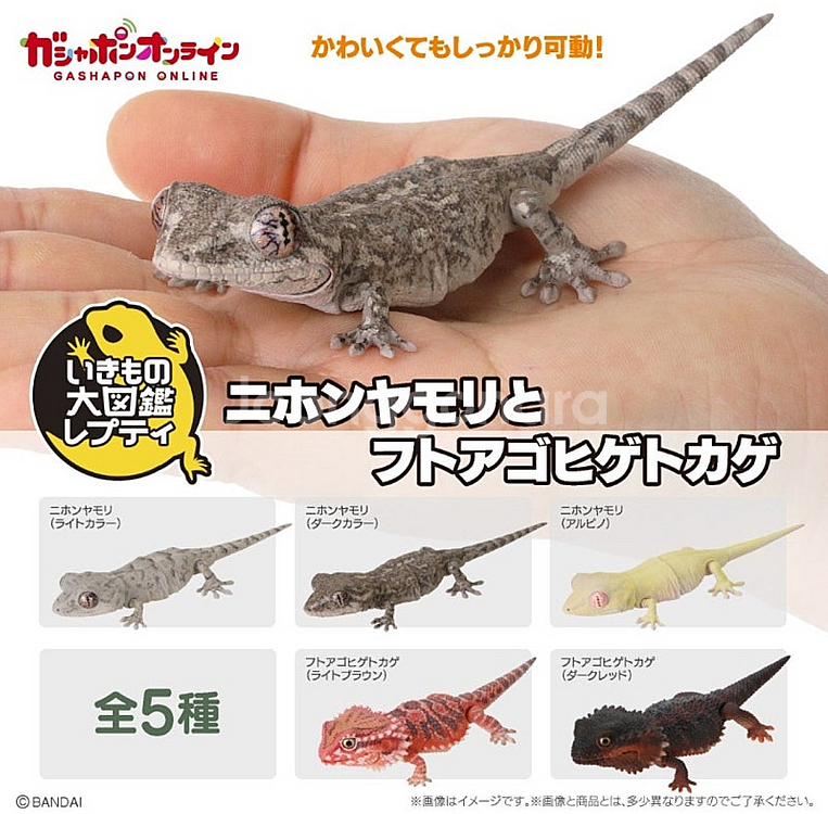 BANDAI(반다이), 생물대도감: 렙티 도마뱀붙이(다...--0