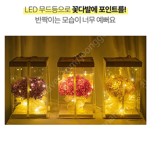 시들지 않는 LED 안개꽃 무드등