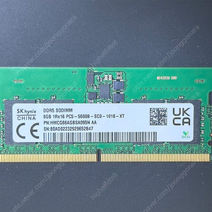 SK하이닉스 노트북 DDR5-5600 (8GB)+키오시아 BG5 512GB M.22280