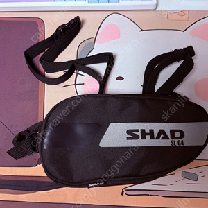 샤드 레그백 팔아요