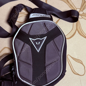 다이네즈 레그백 구형 다이네즈 4스트로크 롱 팝니다