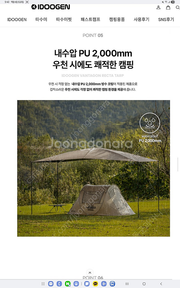 아이두젠 반타곤 렉타타프--5