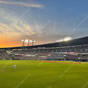 LG트윈스 어페럴샵 포인트 판매합니다