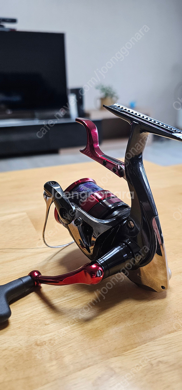 시마노 23 BBX 라리사 C3000DXG LBD릴 미...--8
