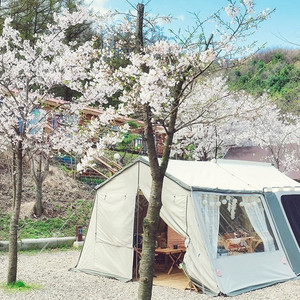 듀랑고 캐빈와이드 면 텐트 미개봉 새 제품 팝니다