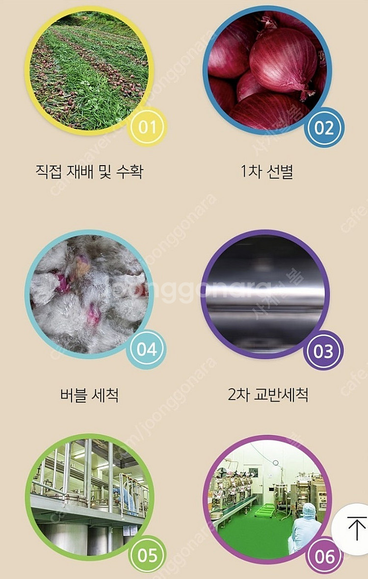 물.착색료 넣지않은 100%햇자색양파즙 2박스 100포...--3