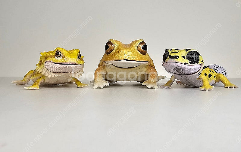 생물대도감 렙티 도마뱀 두꺼비 피규어 일괄--1
