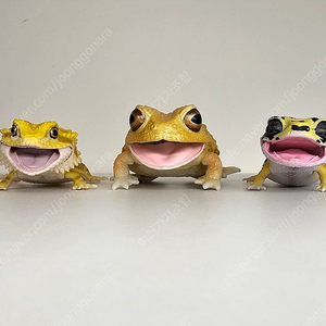 생물대도감 렙티 도마뱀 두꺼비 피규어 일괄