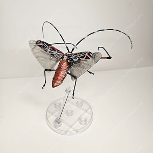 생물대도감 어드밴스 앞장다리 하늘소 디스플레이 스탠드 세트