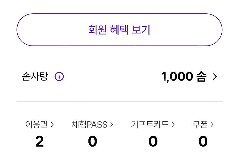에버랜드 자유이용권 대인권 종일이용권 2장 + 1000...--0
