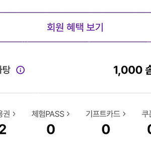 에버랜드 자유이용권 대인권 종일이용권 2장 + 1000솜 일괄 판매 양도 티켓 깊티 기프티콘 쿠폰