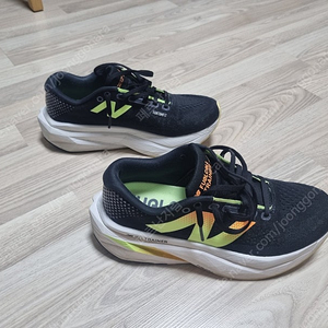 뉴발란스 SC Trainer v3 남성 D 255 판매
