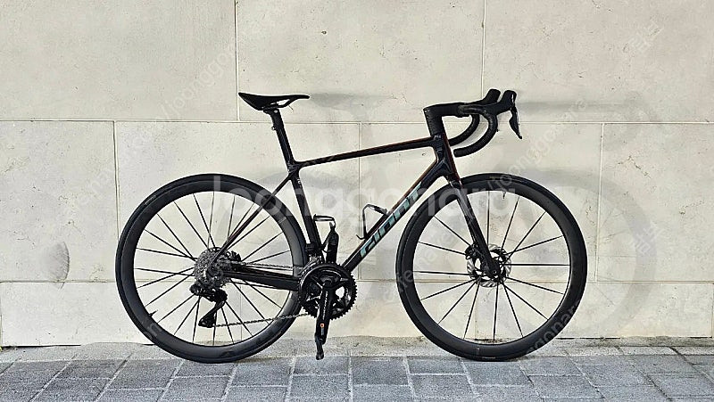 my25 TCR SL0 M사이즈 54--0