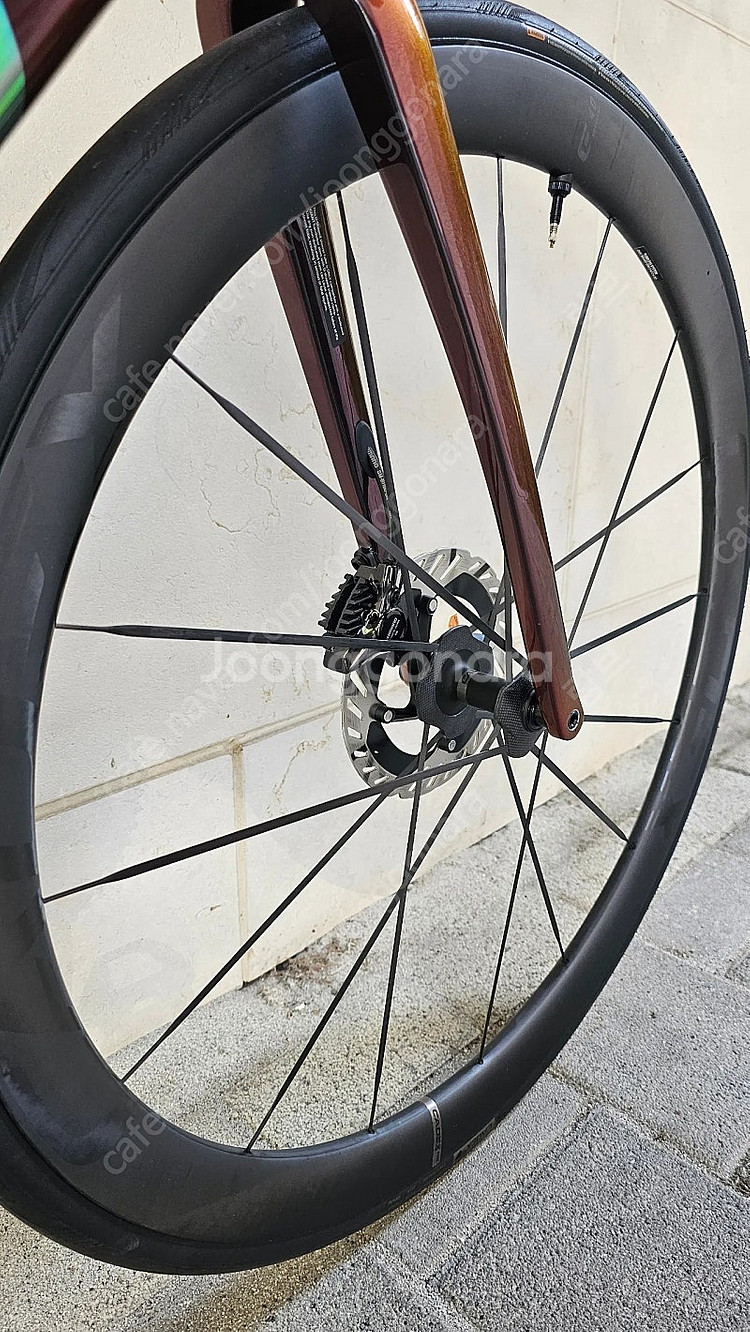 my25 TCR SL0 M사이즈 54--4