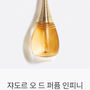 디올 자도르 오 드 퍼퓸 인피니심 100ml 새제품