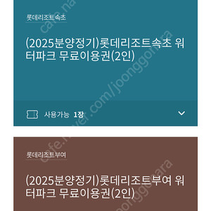 롯데 리조트 속초 부여 워터파크 2인 쿠폰