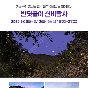 무주 반딧불이 신비탐사 9월7일 4매