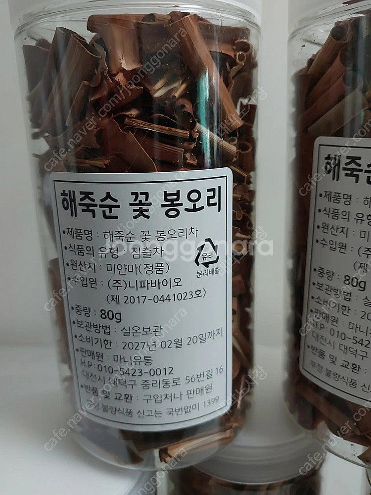 해죽순 꽃 봉오리차 5개--1